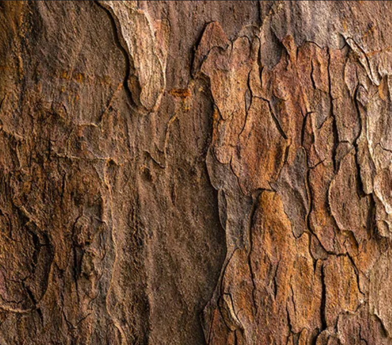 wood texture <div class='container'><iframe class='responsive-iframe' </iframe></div>